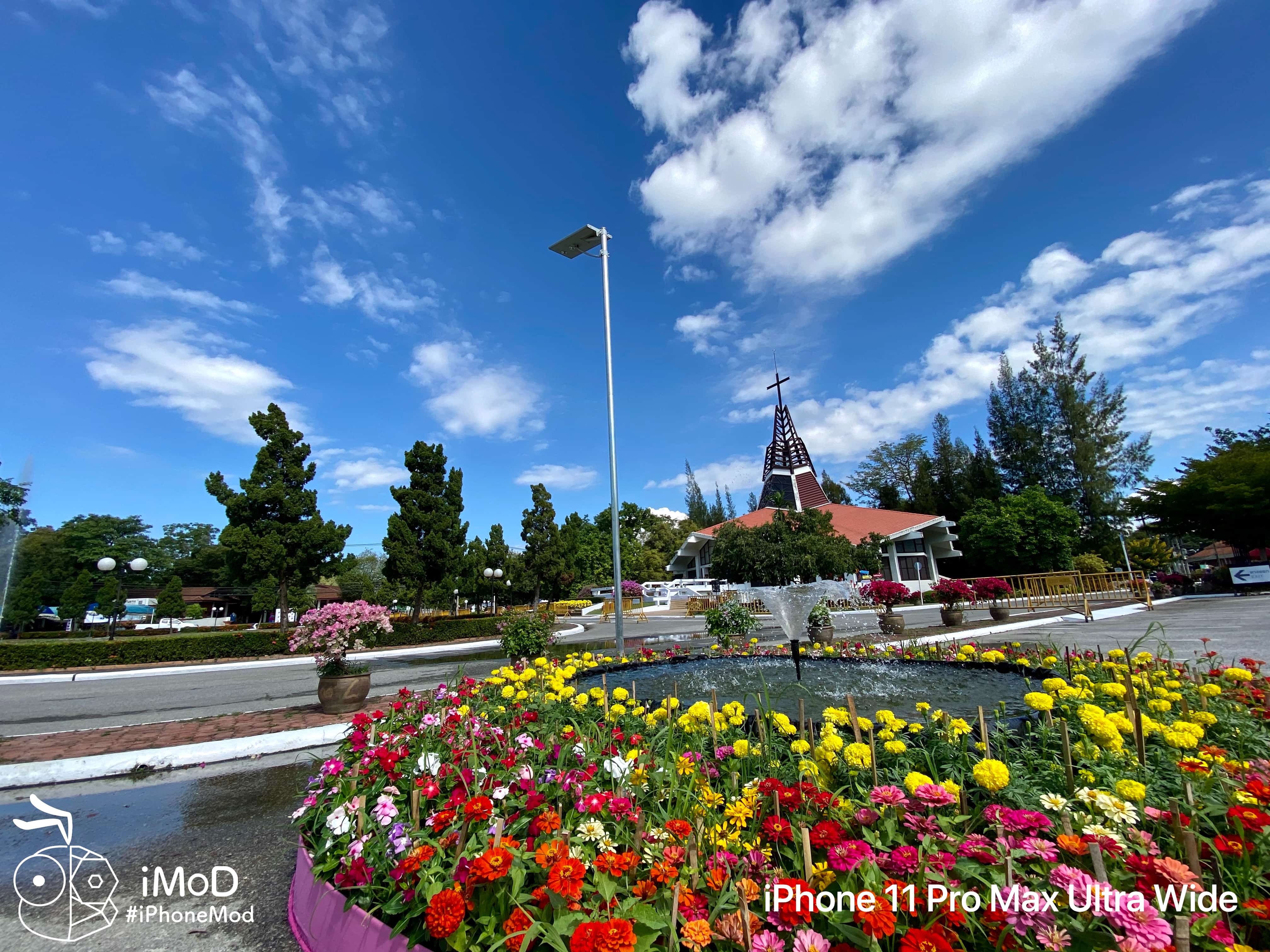 Iphone 11 Pro Max Ultrawide Outdoor Photo Img 9