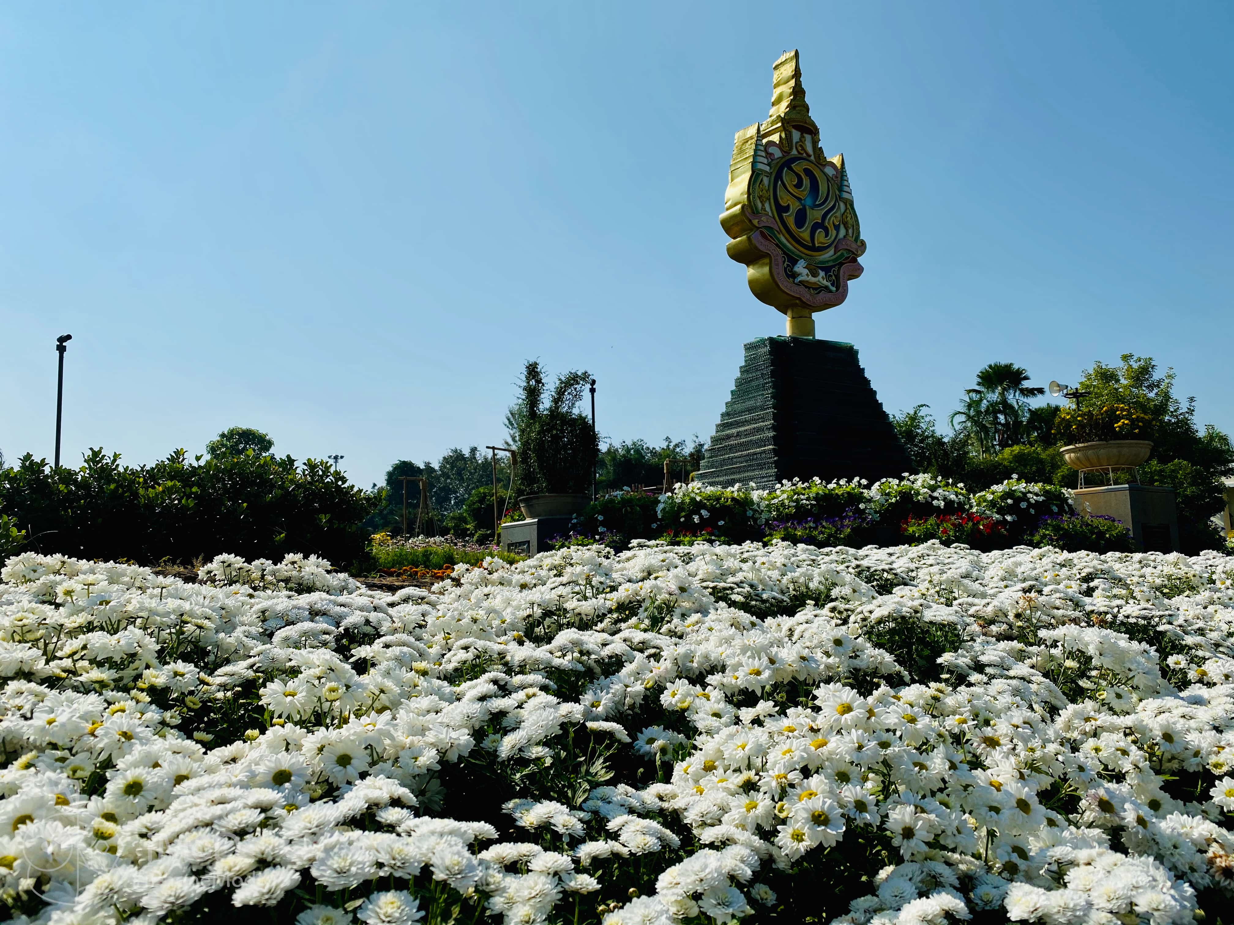 Shot Photo 16 9 Aspect Ratio Iphone 11 Img 1