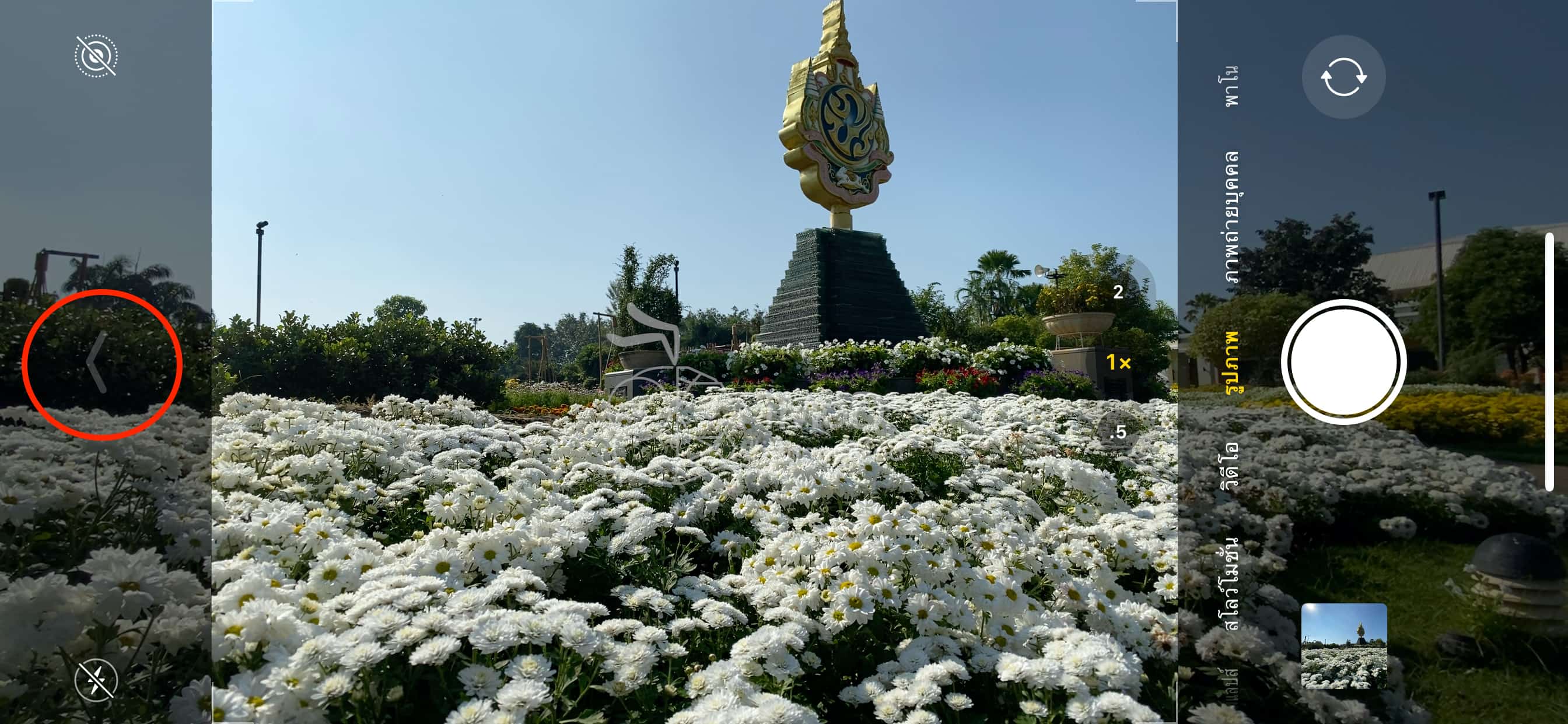 Shot Photo 16 9 Aspect Ratio Iphone 11 Img 2