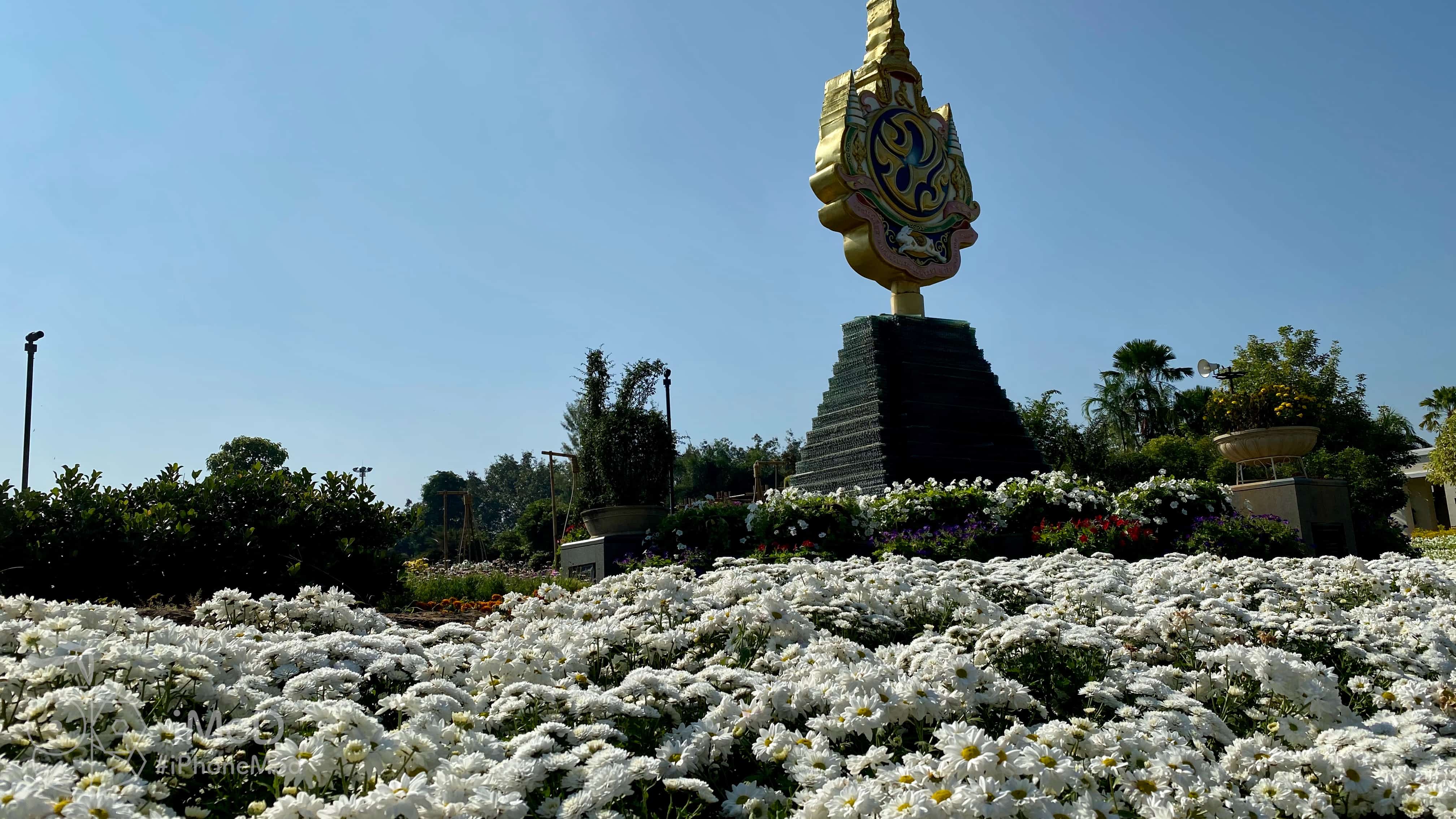 Shot Photo 16 9 Aspect Ratio Iphone 11 Img 4