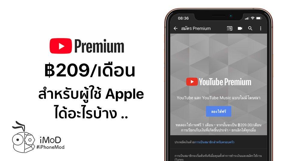 พรีวิว Youtube Premium สำหรับผู้ใช้ Apple เดือนละ 209 บาท คุ้มไหม ได้ อะไรบ้าง