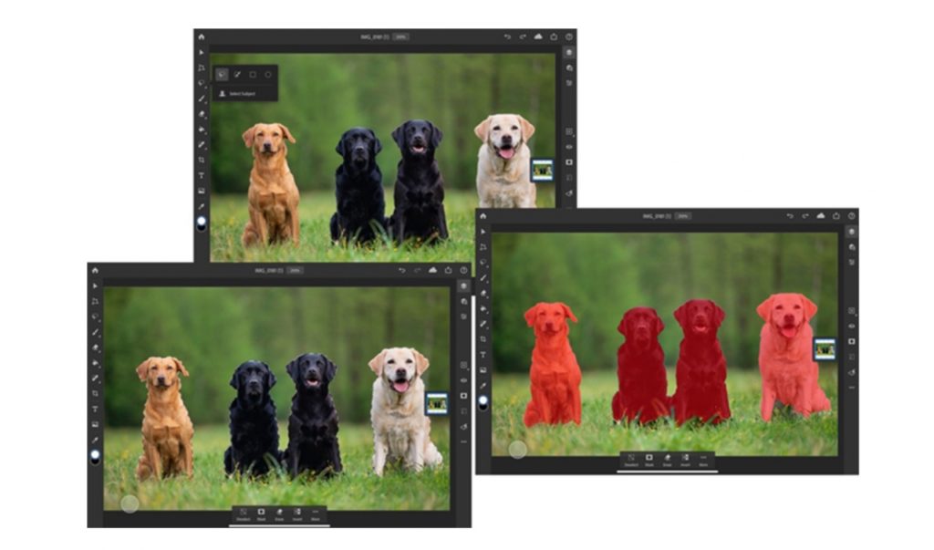 Adobe Photoshop For Ipad Update Version 1 1 1