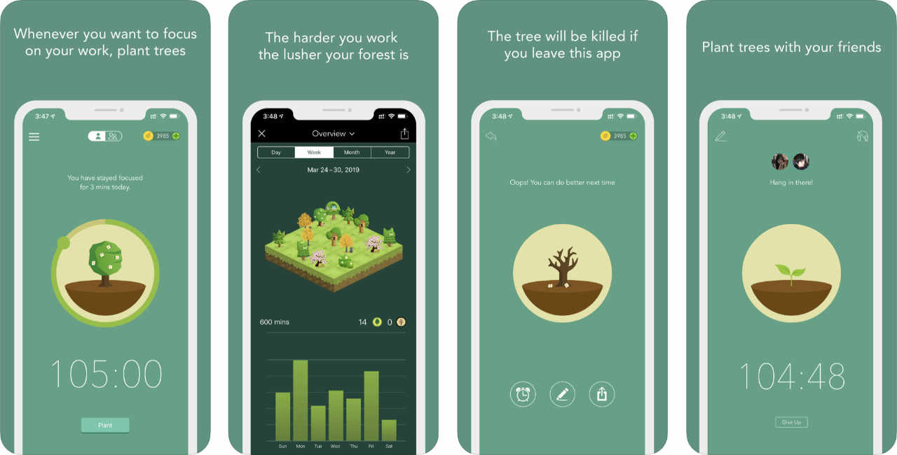 Forest Stay Focused Content1