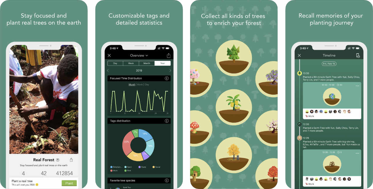Forest Stay Focused Content2