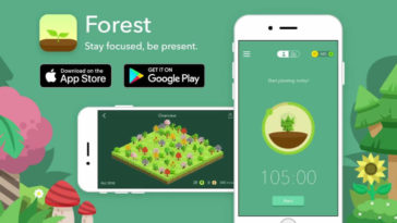 Forest Stay Focused Cover