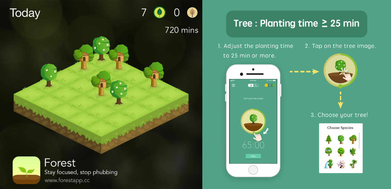 Forest Stay Focused Time Set