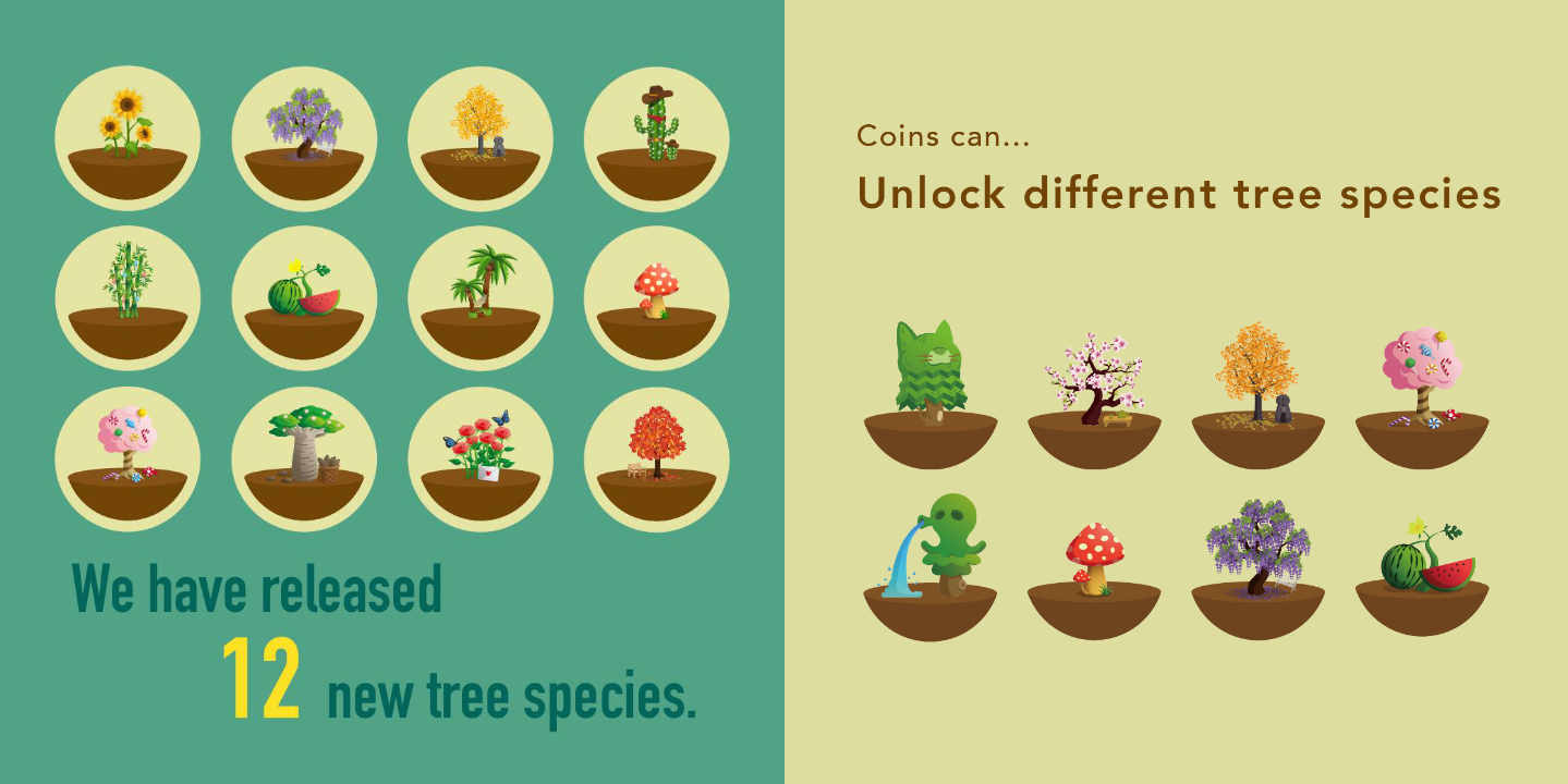 Forest Stay Focused Tree Species
