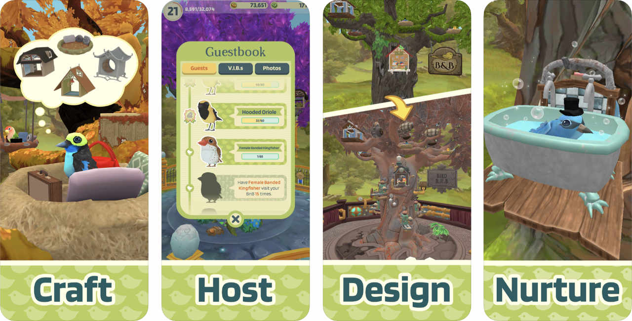 Game Bird Bnb Content