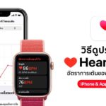 How To See Hear Rate Data History Iphone Apple Watch