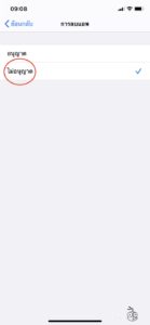 ios 13 gps