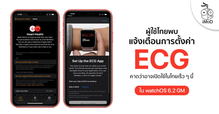 Apple Watch Notification Alert Ecg Setting Watchos 6 2 Gm Version Thailand