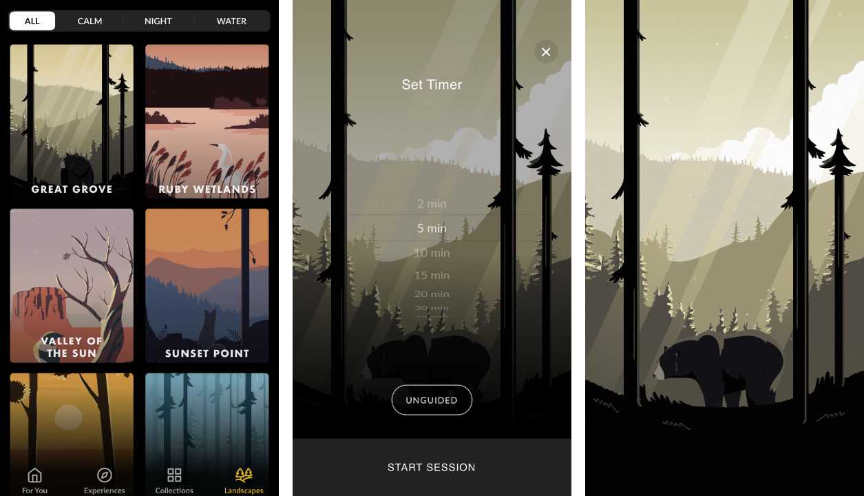 Wild Journey Set1