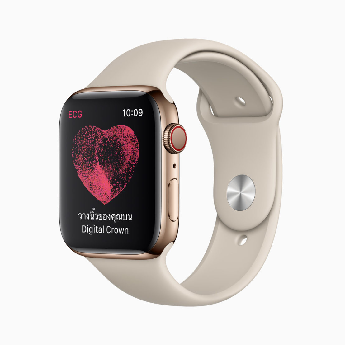 apple ecg release