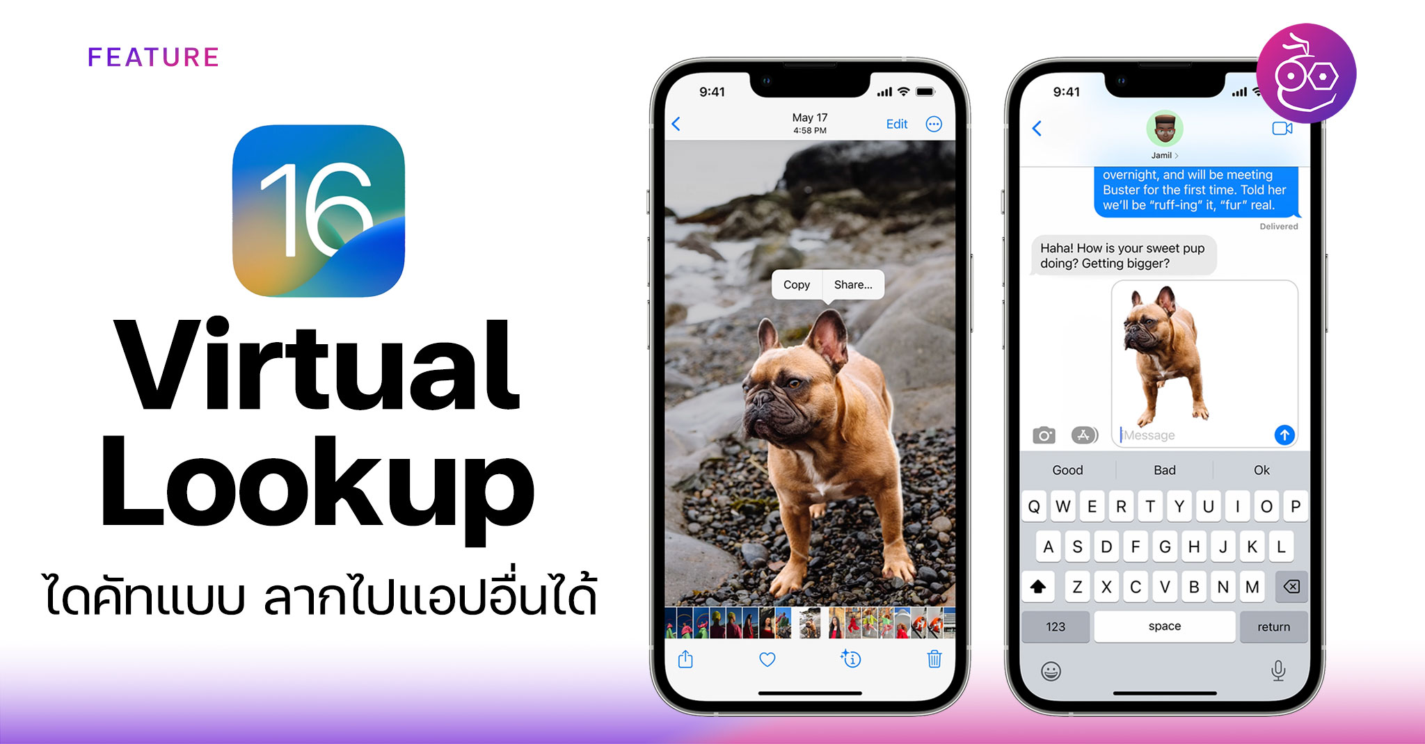 free for ios download Lookup Assistant