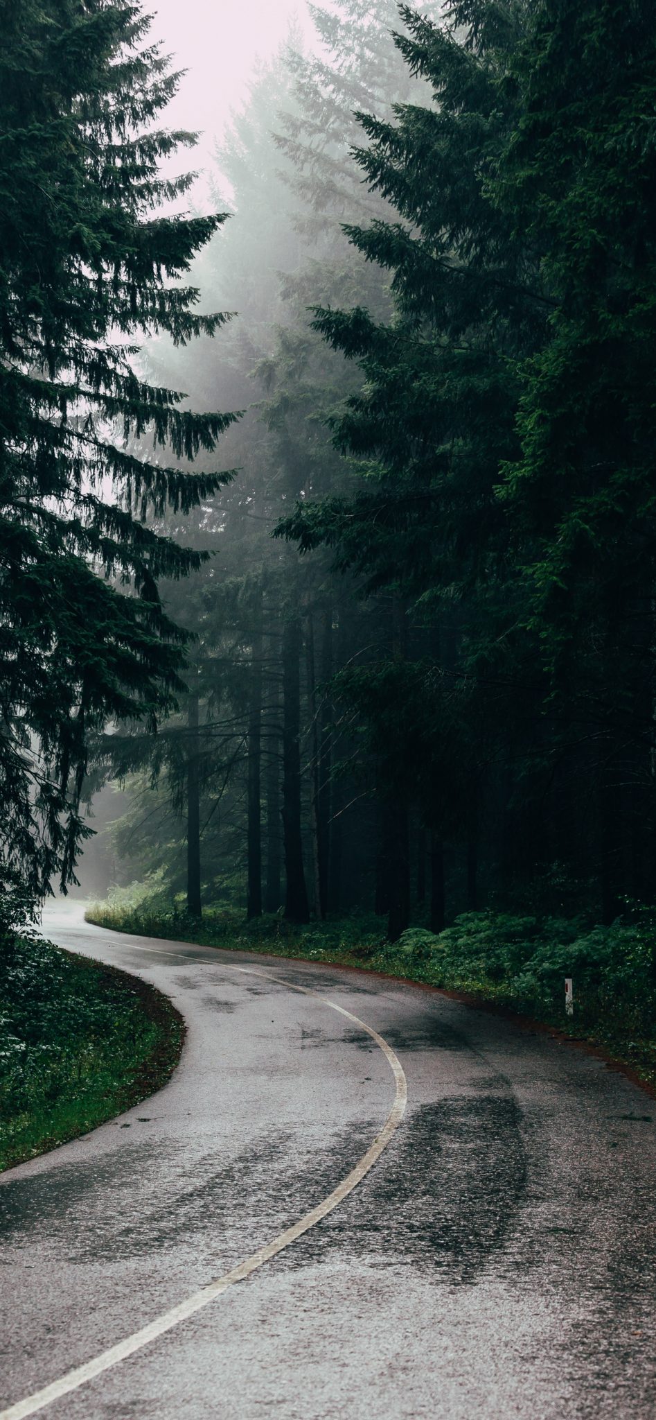 macos wallpaper