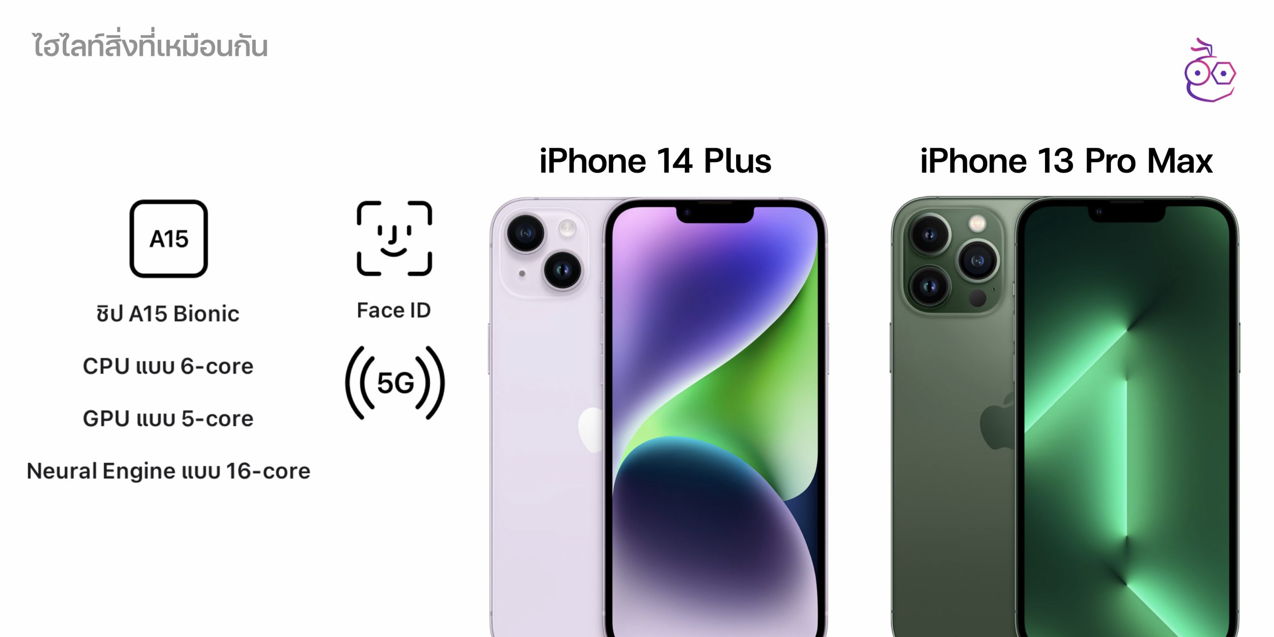 APPLE iPhone 13 Pro vs 14 Pro and iPhone 14 Plus vs 13 Pro Max: How to  choose?
