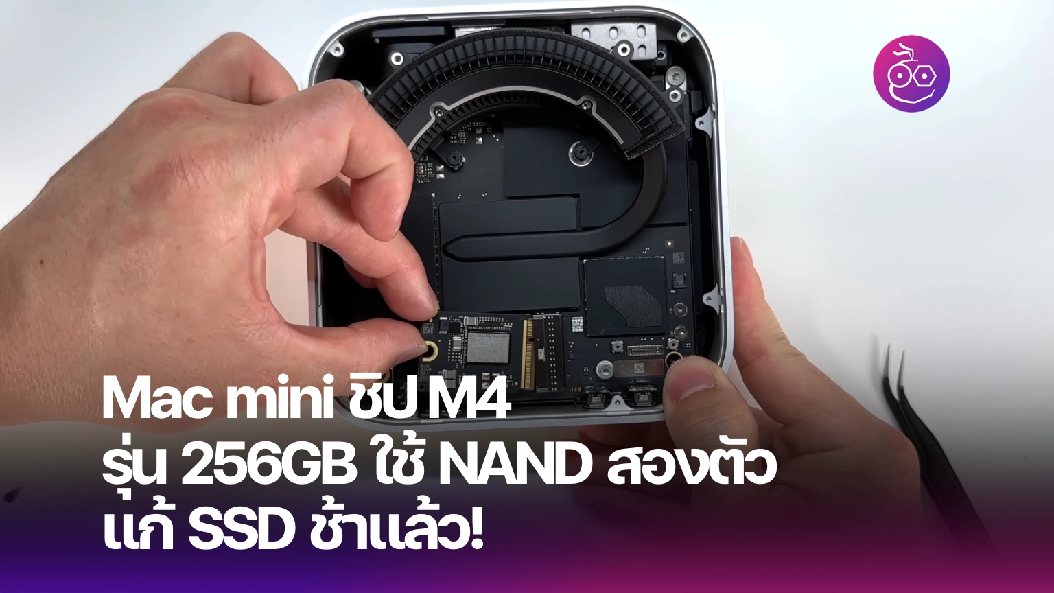 Mac Mini M4 Modular 256GB SSD mac-mini-m4-modular-256gb-ssd